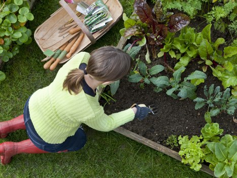 Risk assessment and safety checklist for garden work